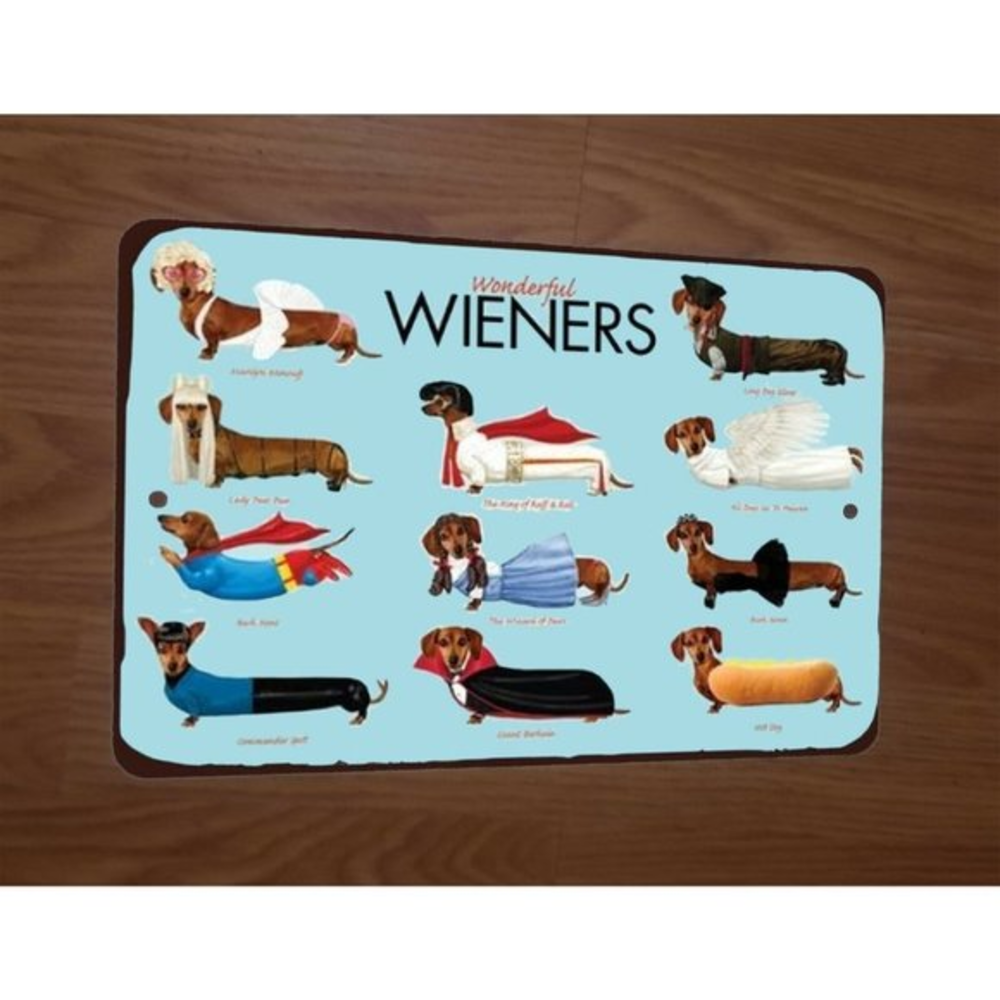 Wonderful Wieners Cute Dachshund Dogs 8x12 Metal Wall‎ Animal Sign